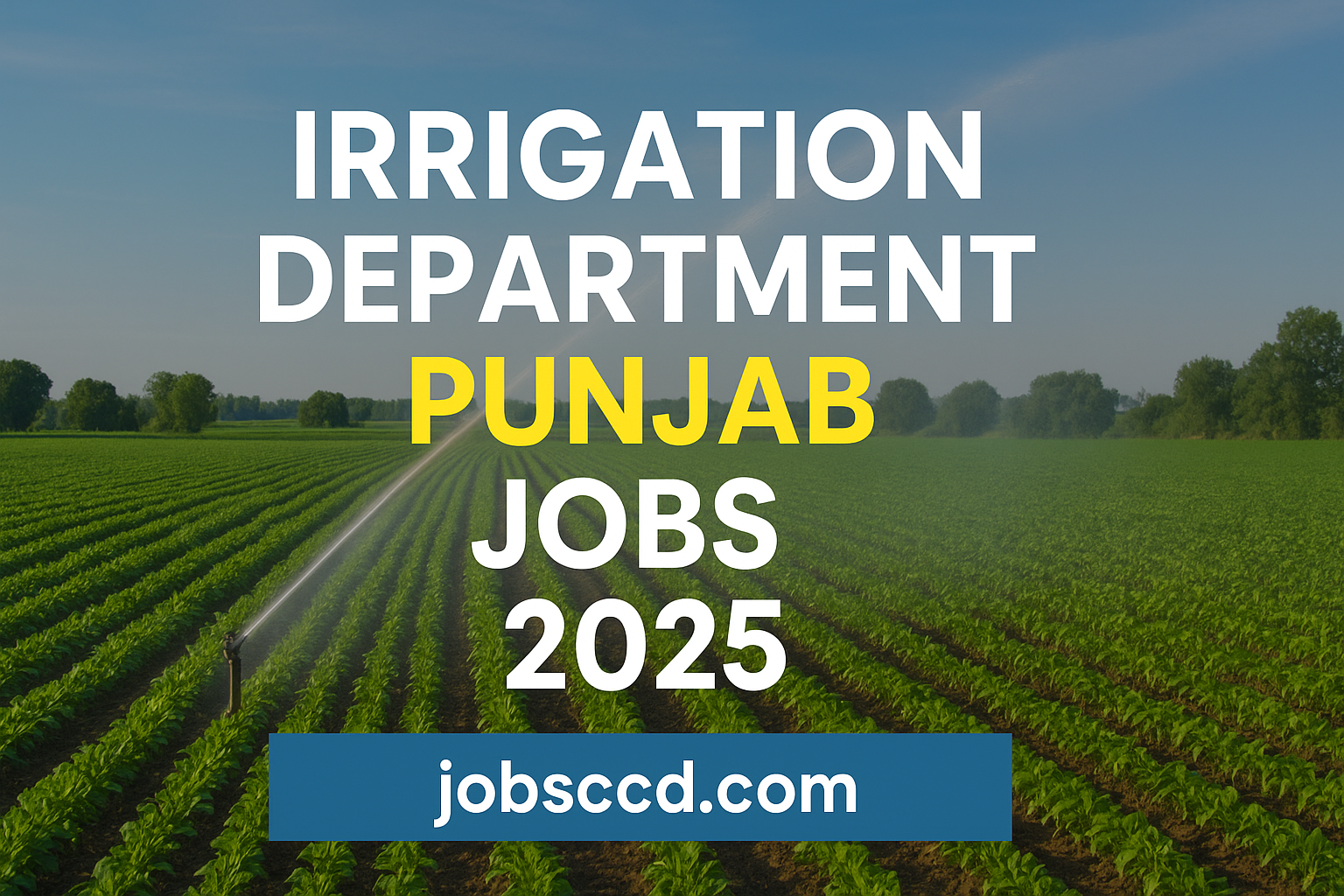 Irrigation Department Punjab Jobs 2025 - Advertisement & Application Form